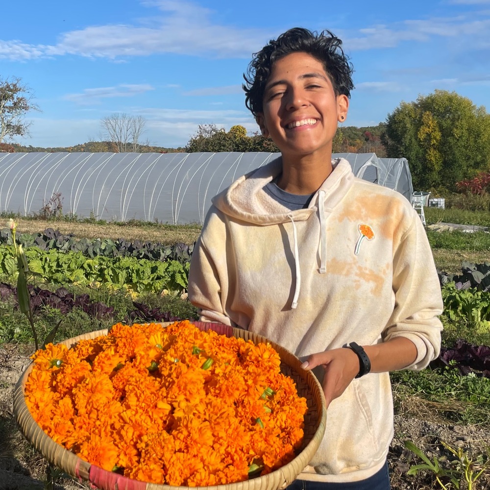Meet your Posher, Ceci
